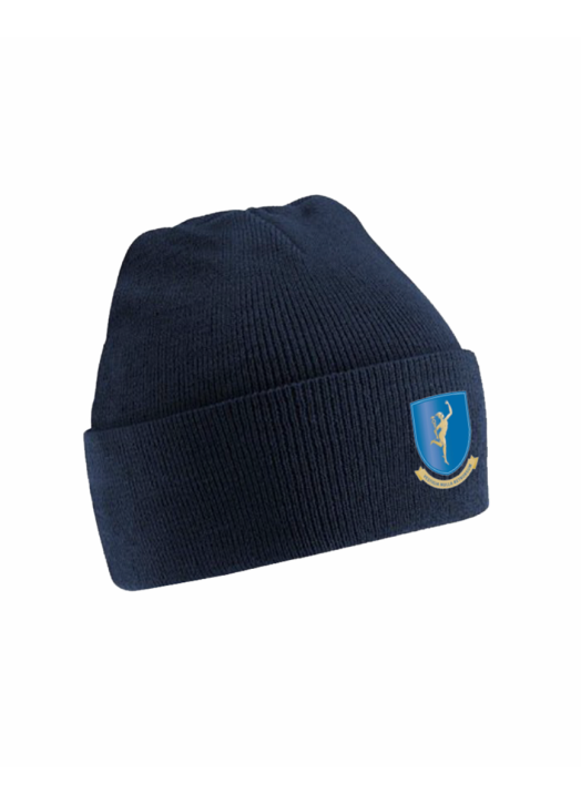 Pro Beanie (Fold) Navy Blue