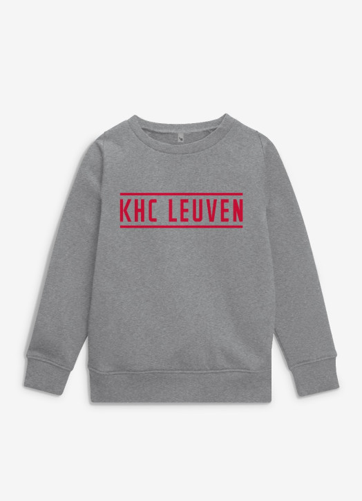 Junior Sweatshirt Grey Marle