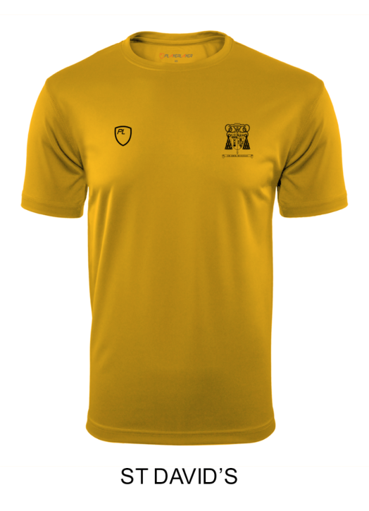 Men's VictoryLayer Tee Gold