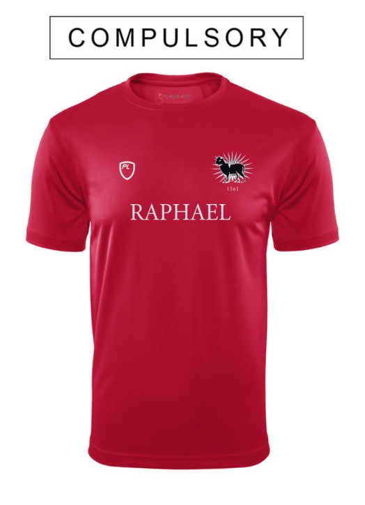 Junior VictoryLayer Raphael House Tee